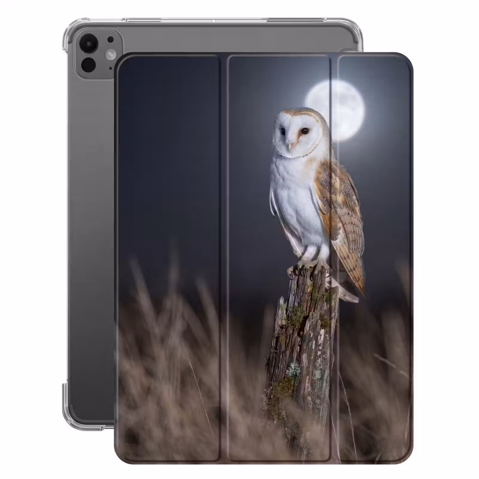 iPad-Hülle - Schleiereule - Mond - Nacht — 1