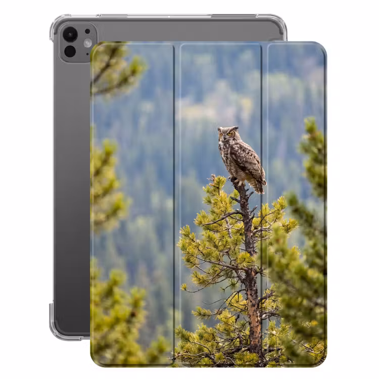 iPad-Hülle - Eule - Uhu - Bäume - Natur — 1