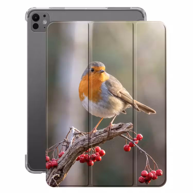 iPad-Hülle - Rotkehlchen - Zweig - Beeren - Natur — 1