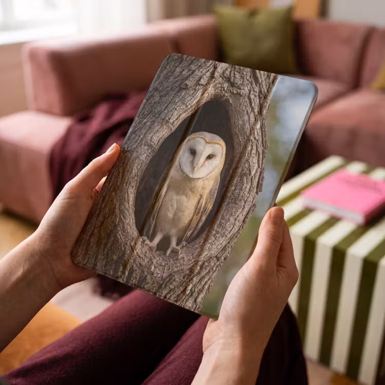 iPad-Hülle - Schleiereule - Baum - Natur - Braun — 4
