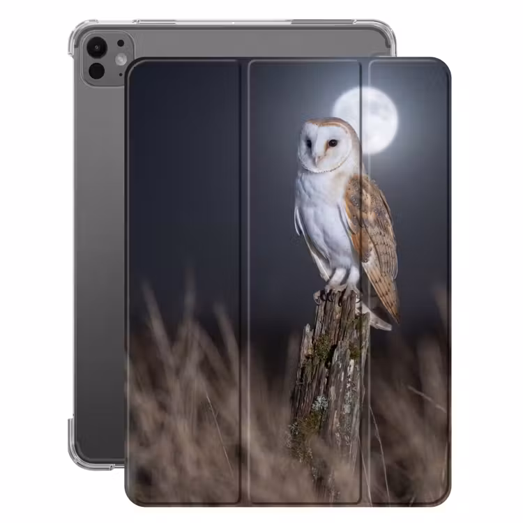 iPad-Hülle - Schleiereule - Mond - Nacht — 1