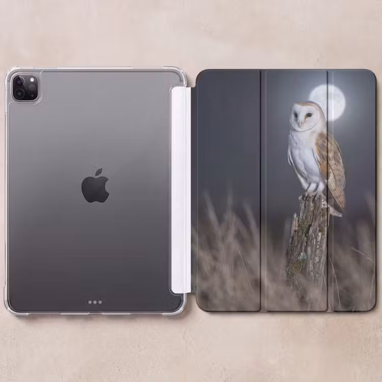 iPad-Hülle - Schleiereule - Mond - Nacht — 6
