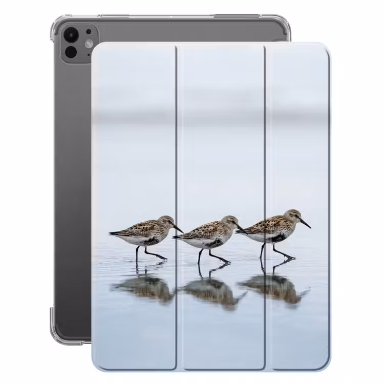 iPad-Hülle - Vögel - Wasser - Grau — 1