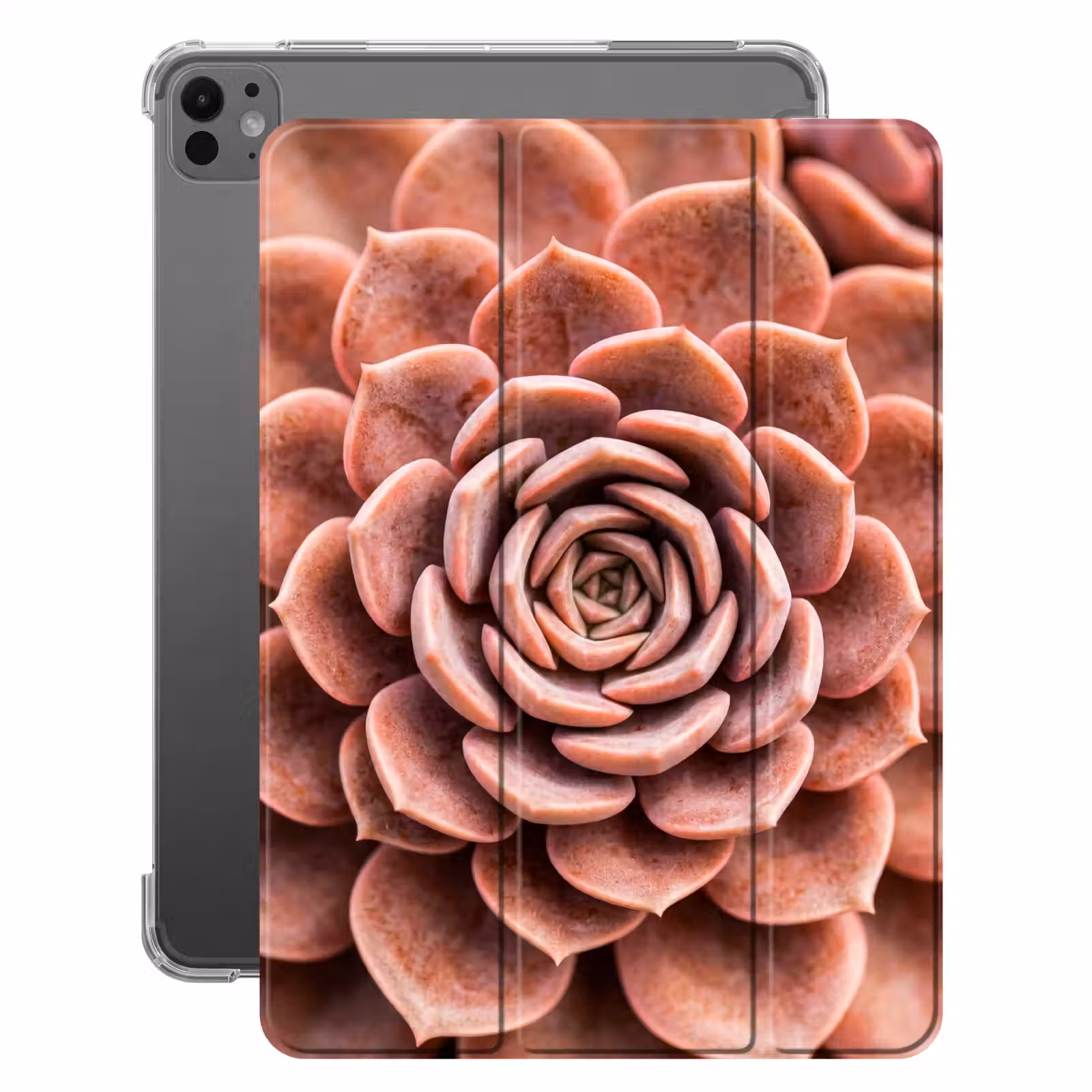 iPad-Hülle - Sukkulente - Bio - Rosa — 1