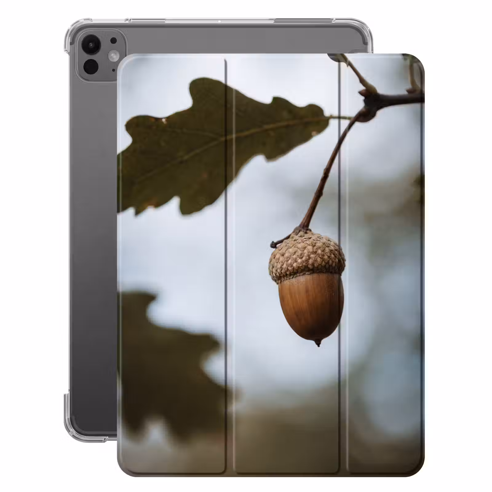 iPad-Hülle - Eichel - Eichenblatt - Wald - Herbst - Natur — 1