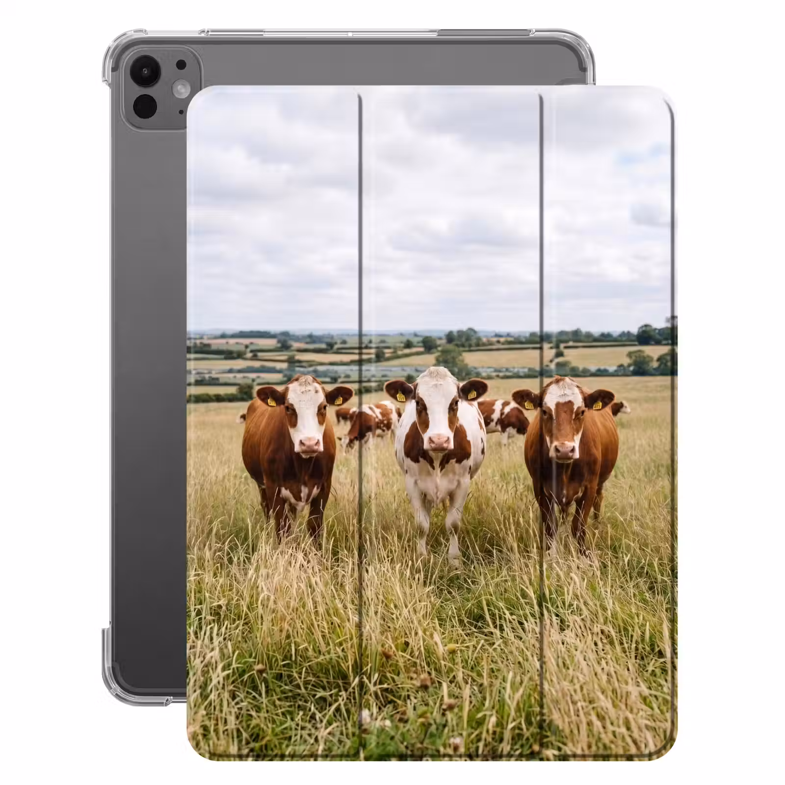 iPad-Hülle - Kühe - Porträt - Wiese - Bauernhof - Neugierig — 1