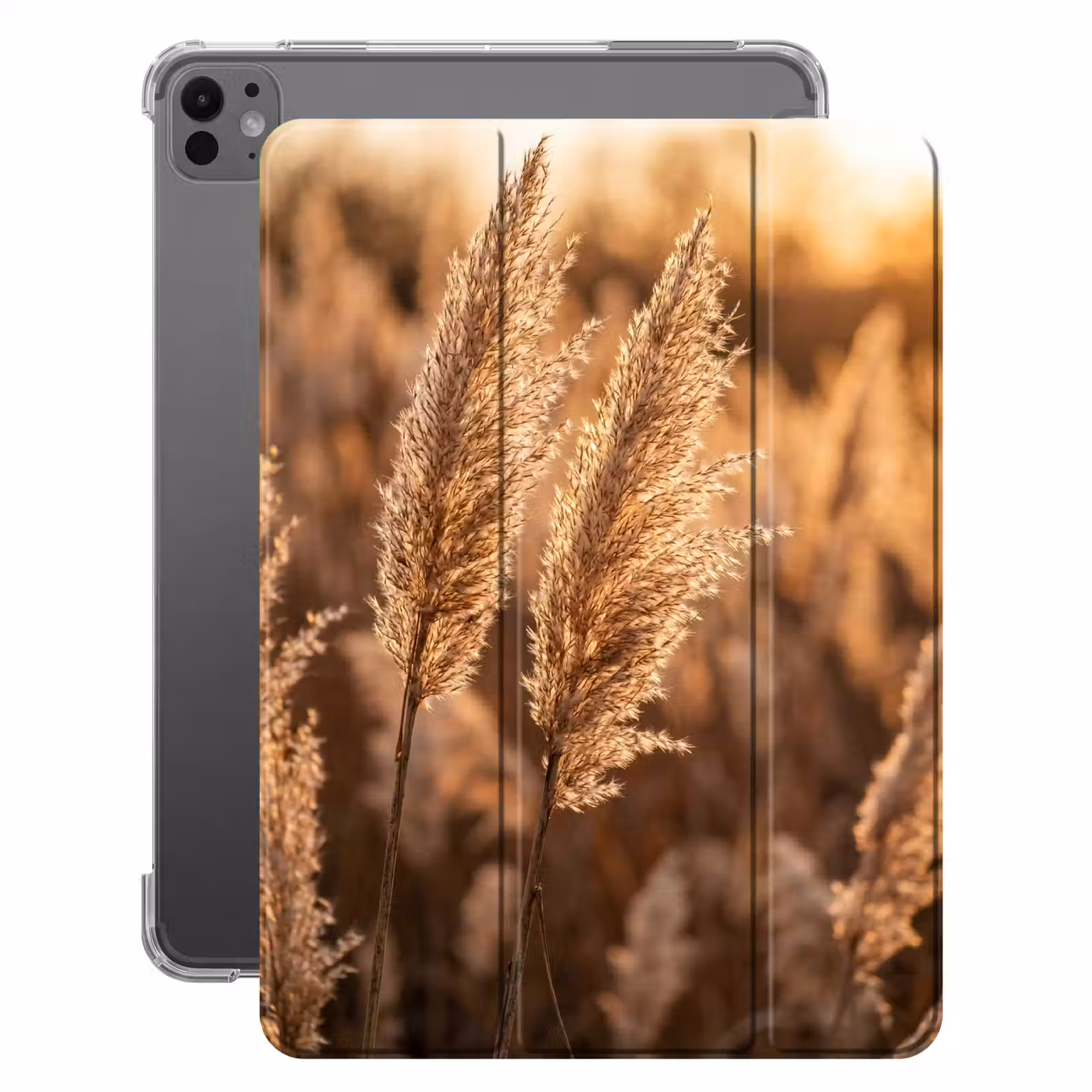 iPad-Hülle - Schilfrohrfahnen - Gras - Sonnenuntergang - Gold - Gelassenheit — 1