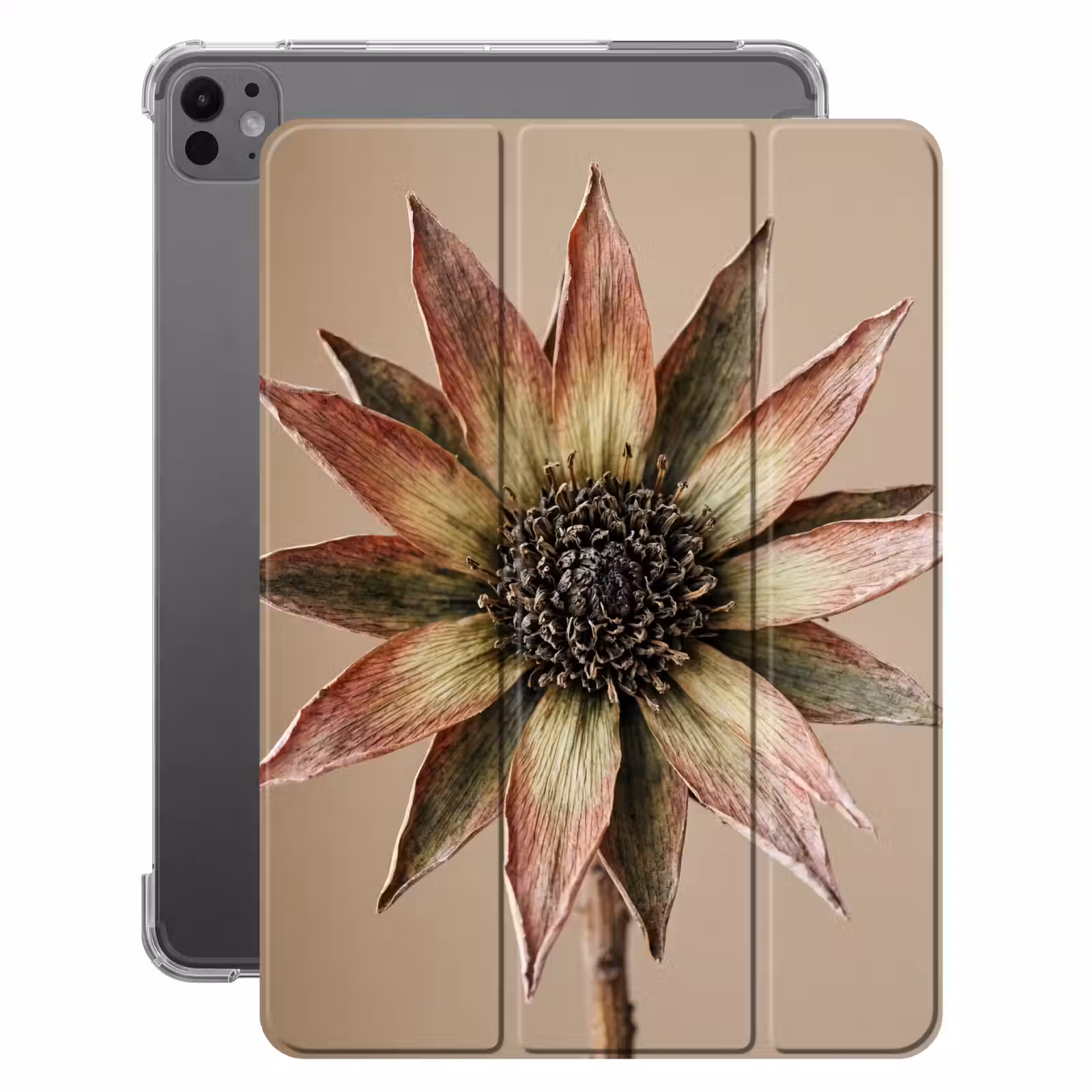 iPad-Hülle - Trockenblume - Protea - Vintage - Beige - Rustikal — 1