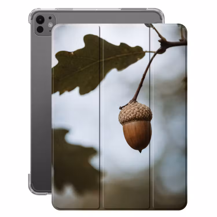 iPad-Hülle - Eichel - Eichenblatt - Wald - Herbst - Natur — 1