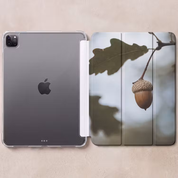 iPad-Hülle - Eichel - Eichenblatt - Wald - Herbst - Natur — 6