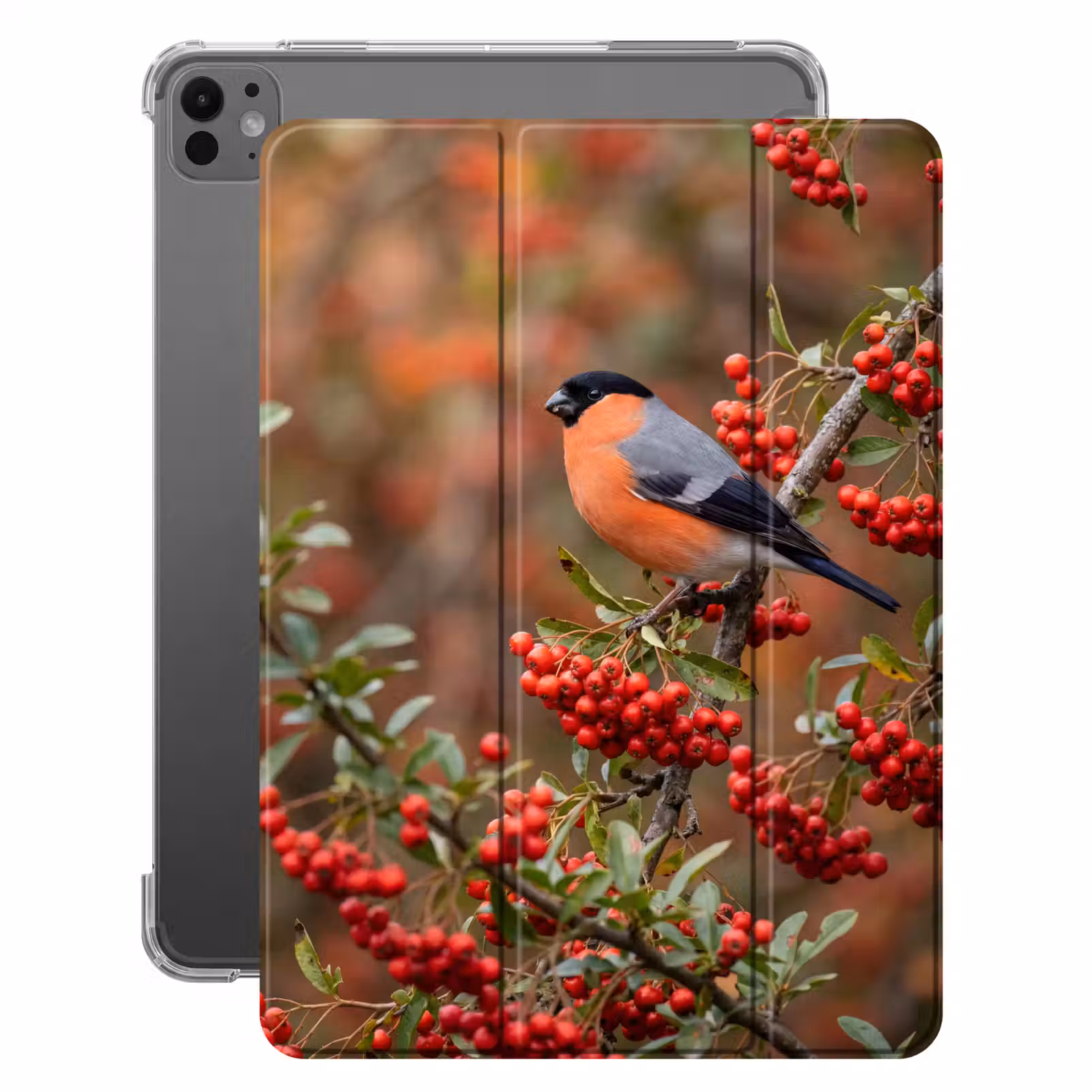 iPad-Hülle - Gimpel - Beeren - Herbst - Natur - Farbenfroh — 1