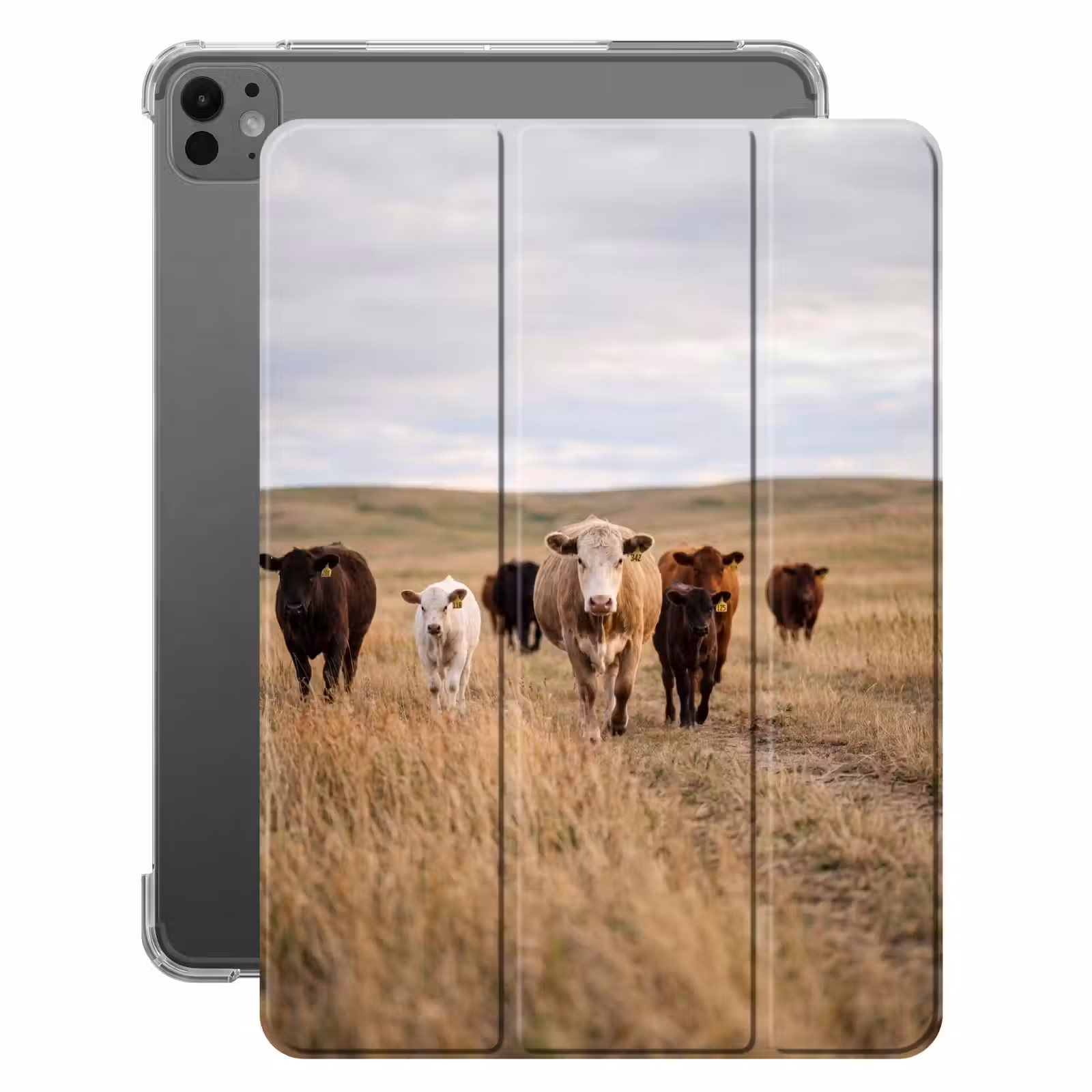iPad-Hülle - Rinder - Herde - Landschaft - Wiese - Stille — 1