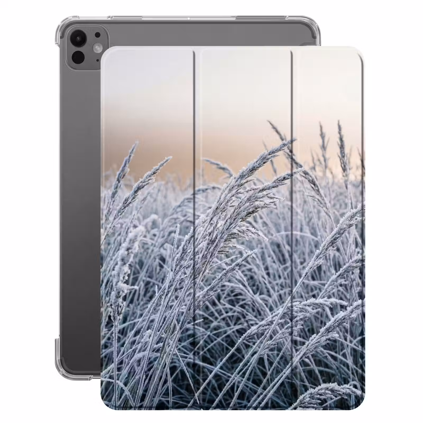 iPad-Hülle - Reif - Gras - Kristalle - Winter - Minimalistisch — 1