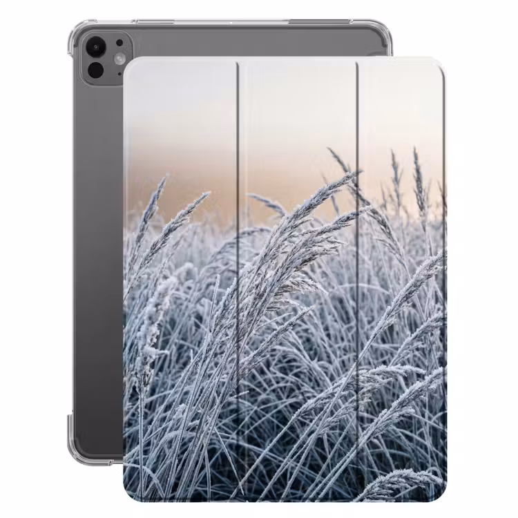 iPad-Hülle - Reif - Gras - Kristalle - Winter - Minimalistisch — 1