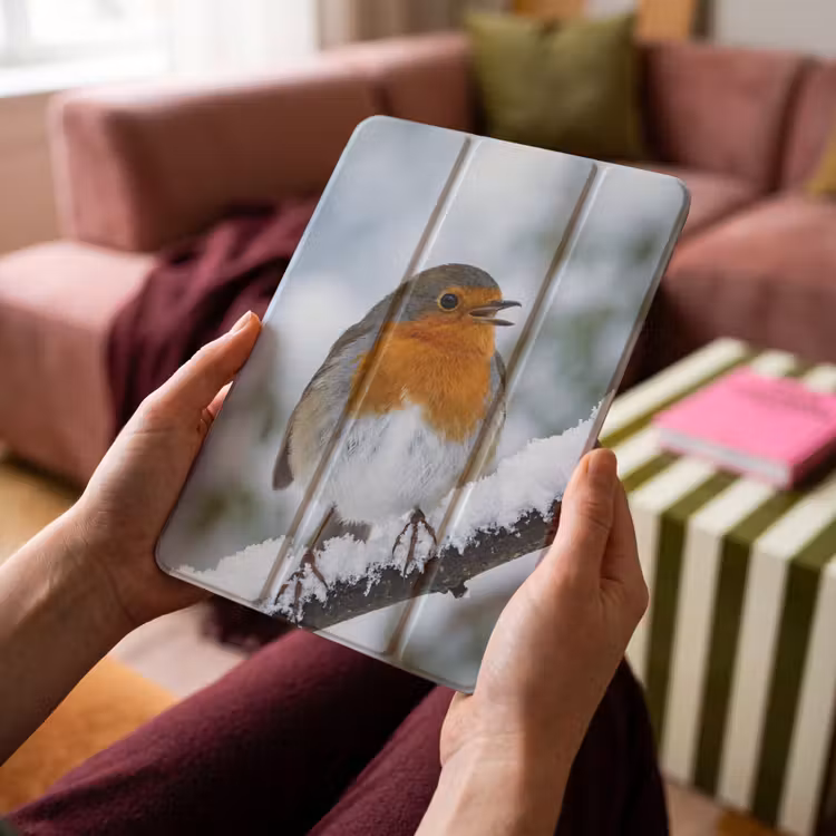 iPad-Hülle - Rotkehlchen - Zweig - Schnee - Winter - Lebendig — 4