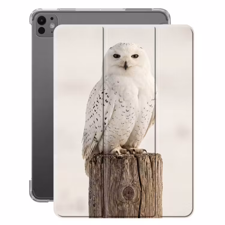 iPad-Hülle - Schneeeule - Pfahl - Winter - Porträt - Majestätisch — 1