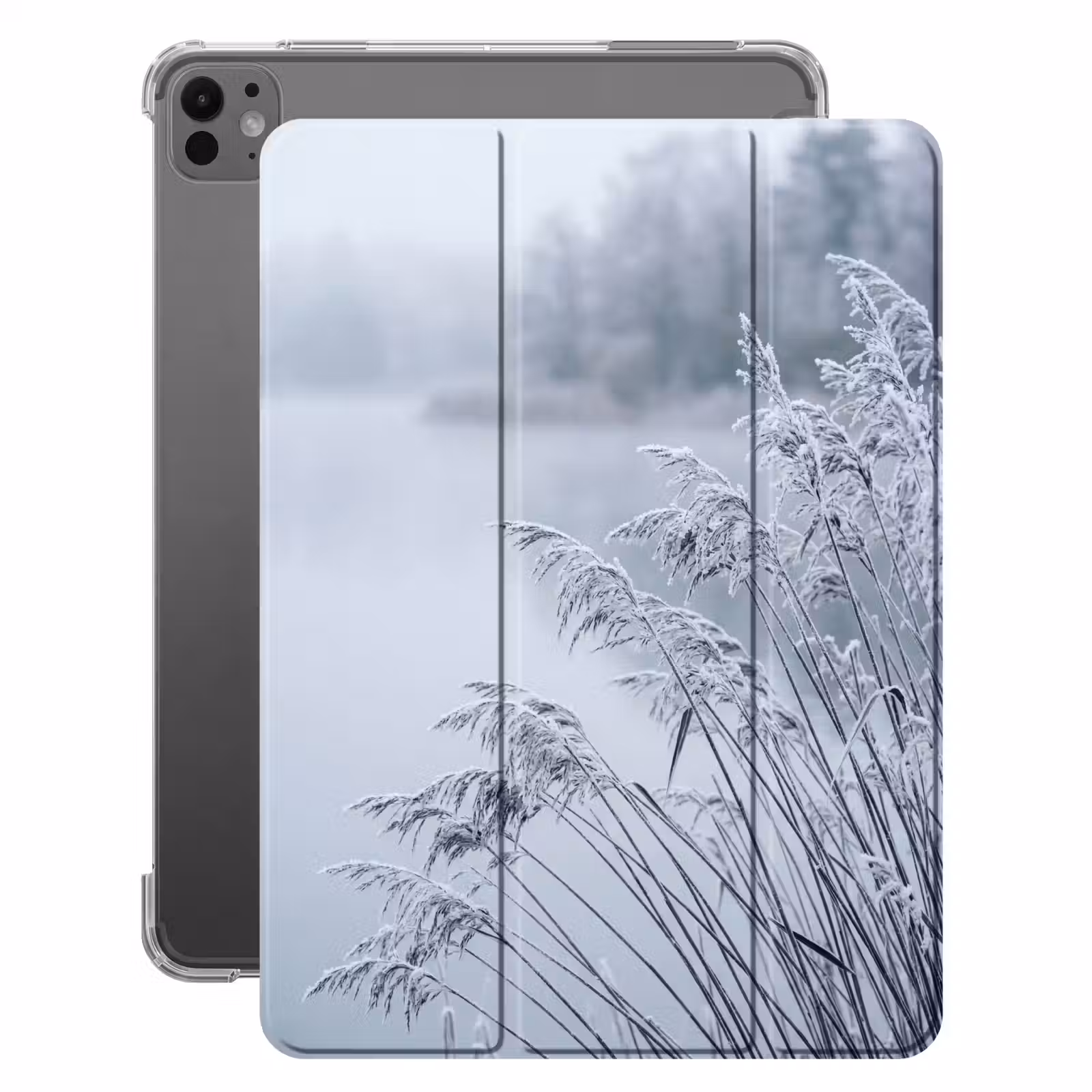 iPad-Hülle - Schilf - Gefroren - Winter - Natur — 1