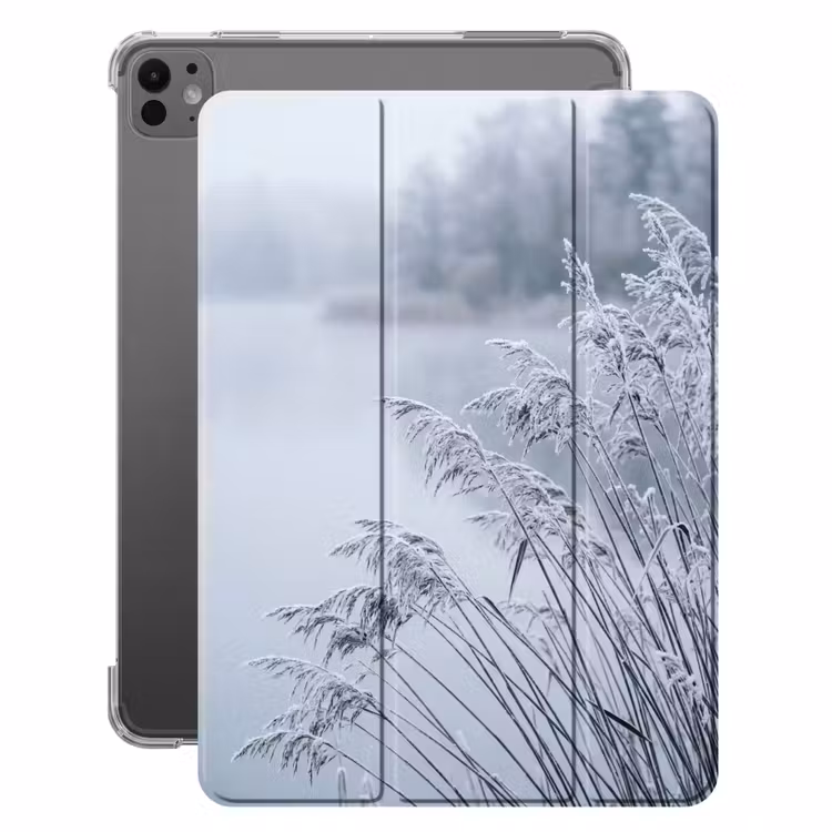 iPad-Hülle - Schilf - Gefroren - Winter - Natur — 1