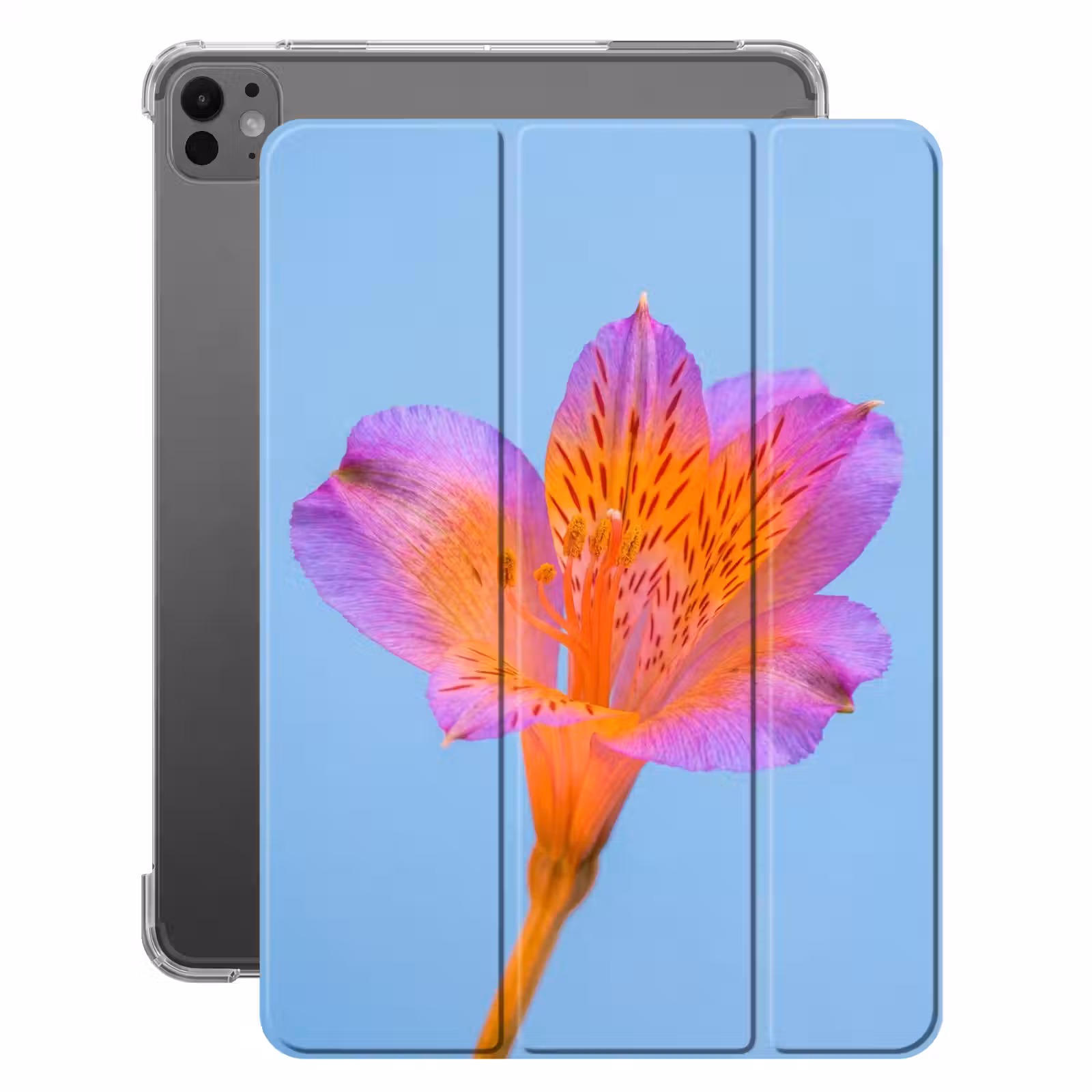 iPad-Hülle - Blume - Detail - Farbenfroh — 1