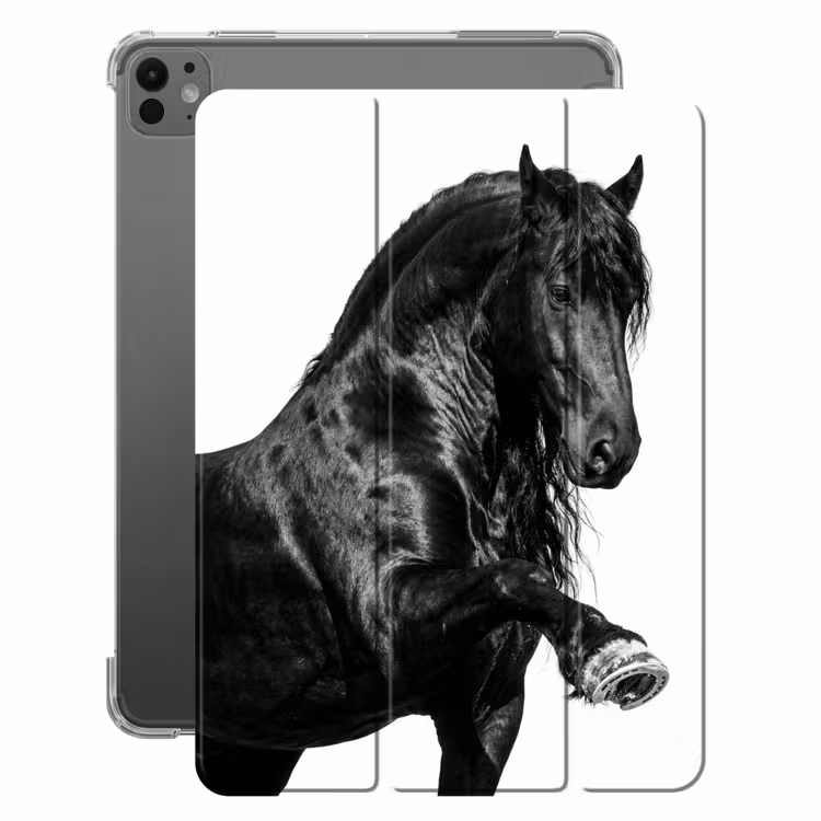 iPad-Hülle - Friese - Hengst - Modern — 1