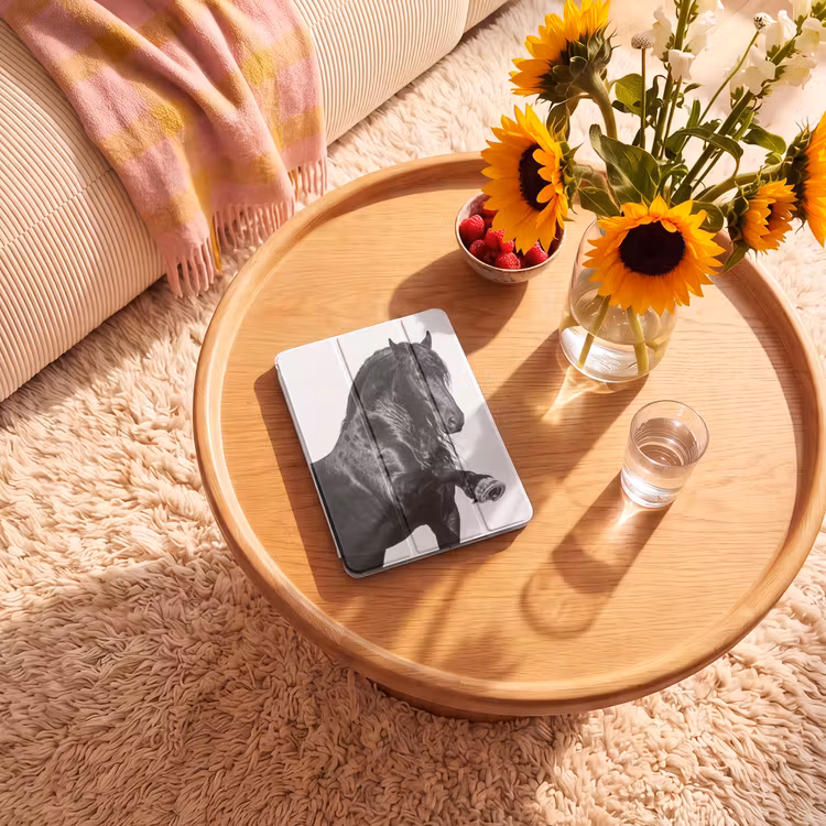 iPad-Hülle - Friese - Hengst - Modern — 2