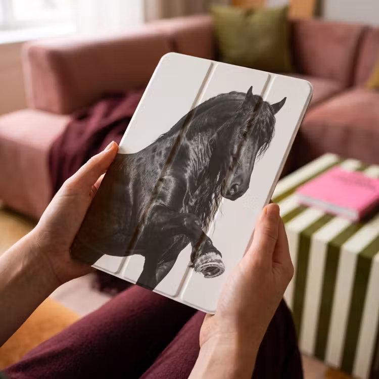 iPad-Hülle - Friese - Hengst - Modern — 4