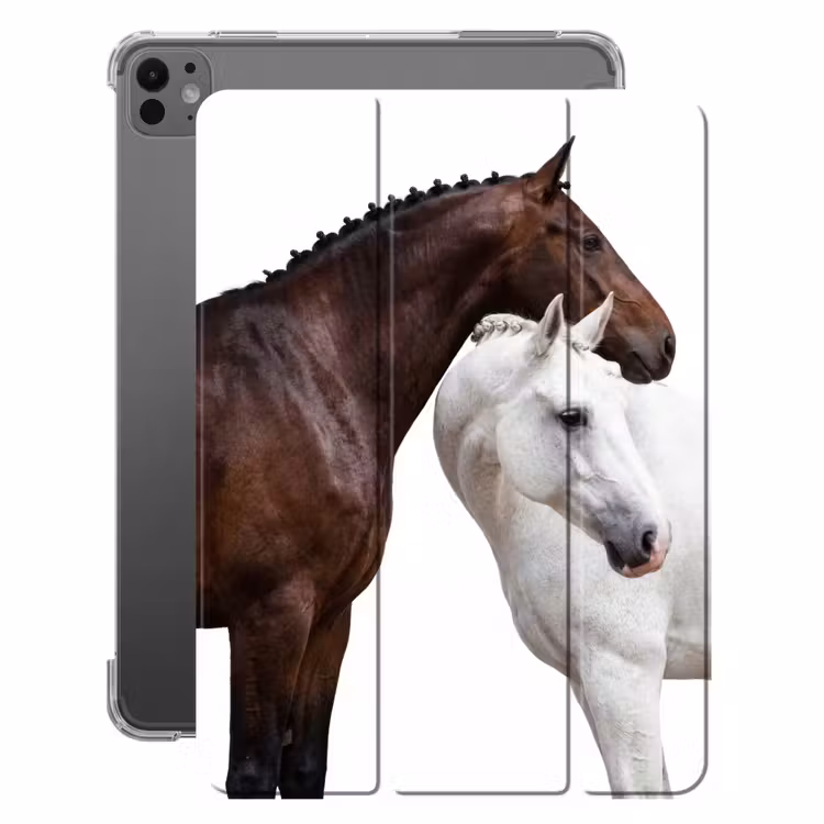 iPad-Hülle - Pferd - Modern - Balance — 1