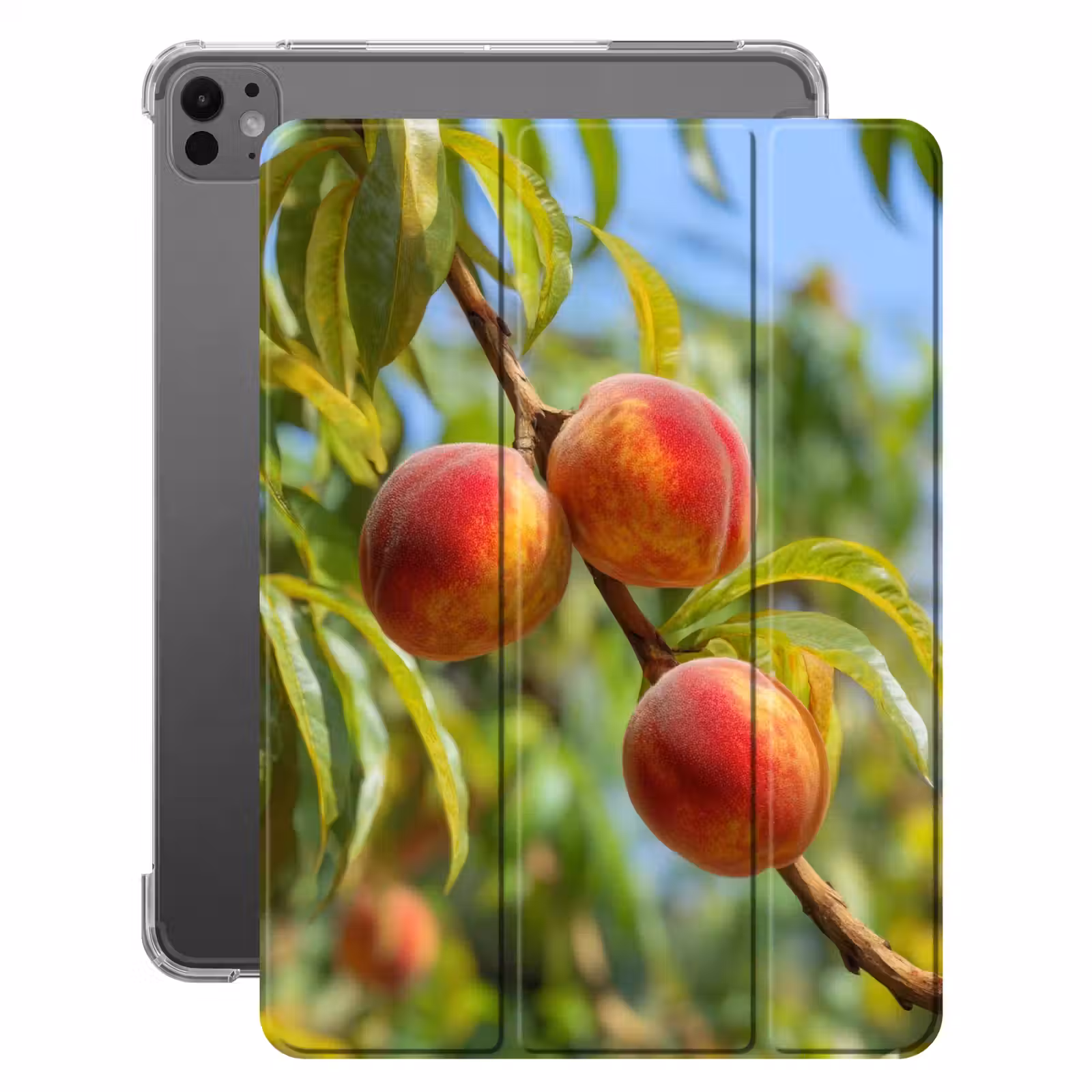 iPad-Hülle - Pfirsich - Blätter - Sonnenlicht — 1