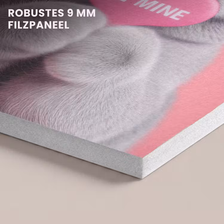 Akustikbild - Katze - Valentinstag - Rosa - Liebe — 5