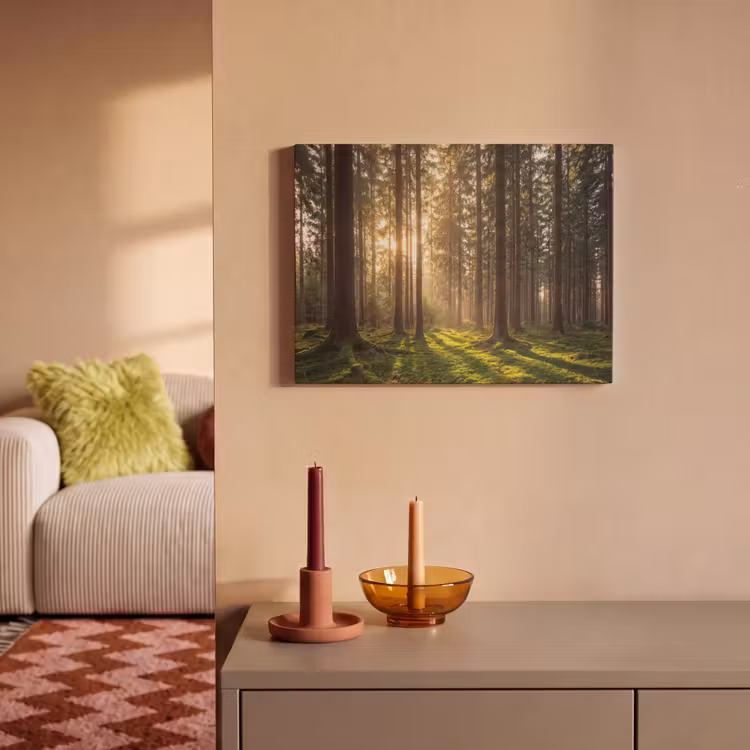 Akustikbild - Wald - Gras - Sonnenlicht — 2