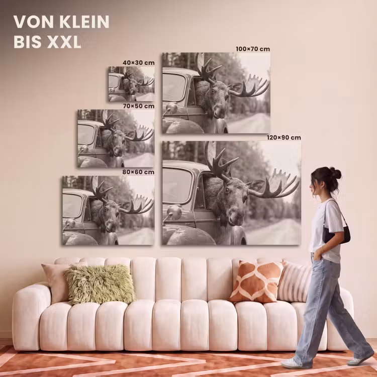 Akustikbild - Elch - Auto - Geweih - Schwarz - Weiß — 7