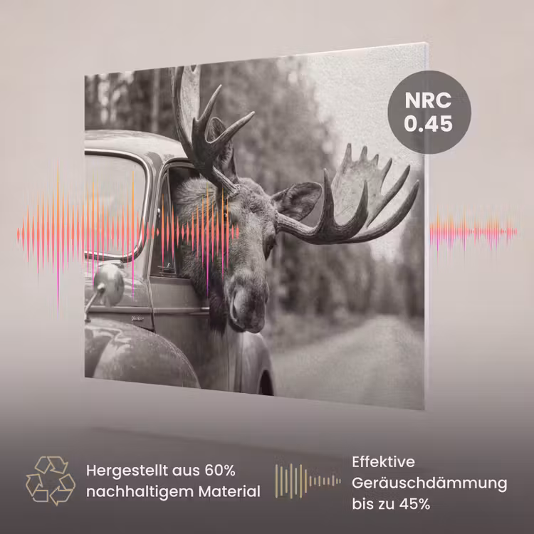 Akustikbild - Elch - Auto - Geweih - Schwarz - Weiß — 3