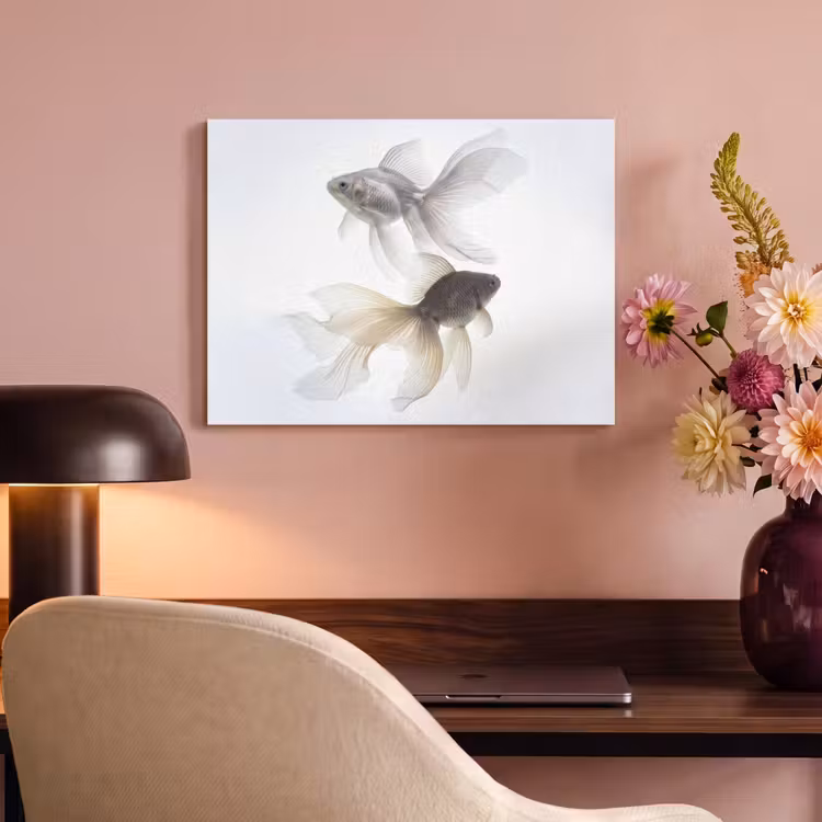 Akustikbild - Goldfisch - Modern - Weiß — 6