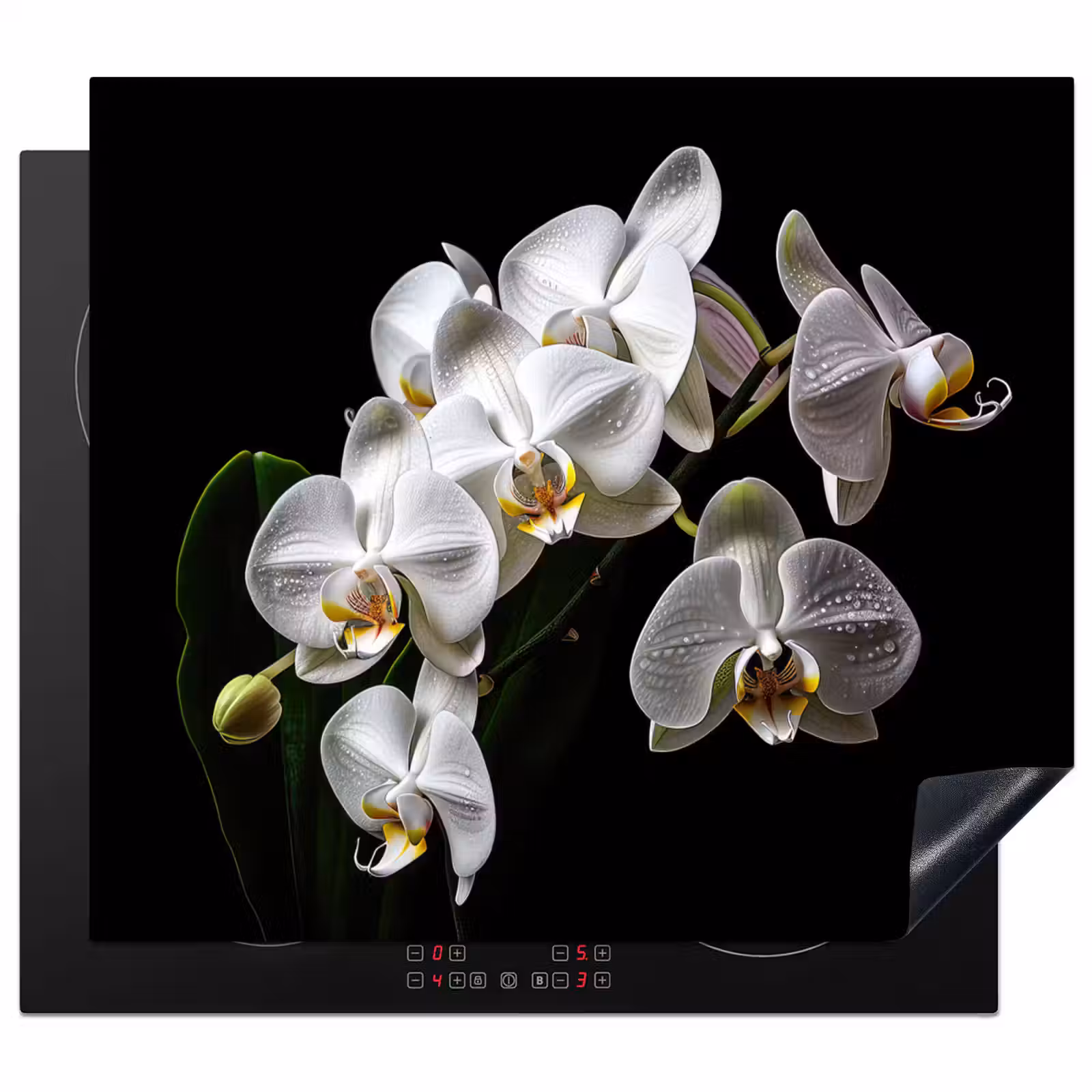 Herdabdeckplatte - Tautropfen auf weißen Orchideen — 1