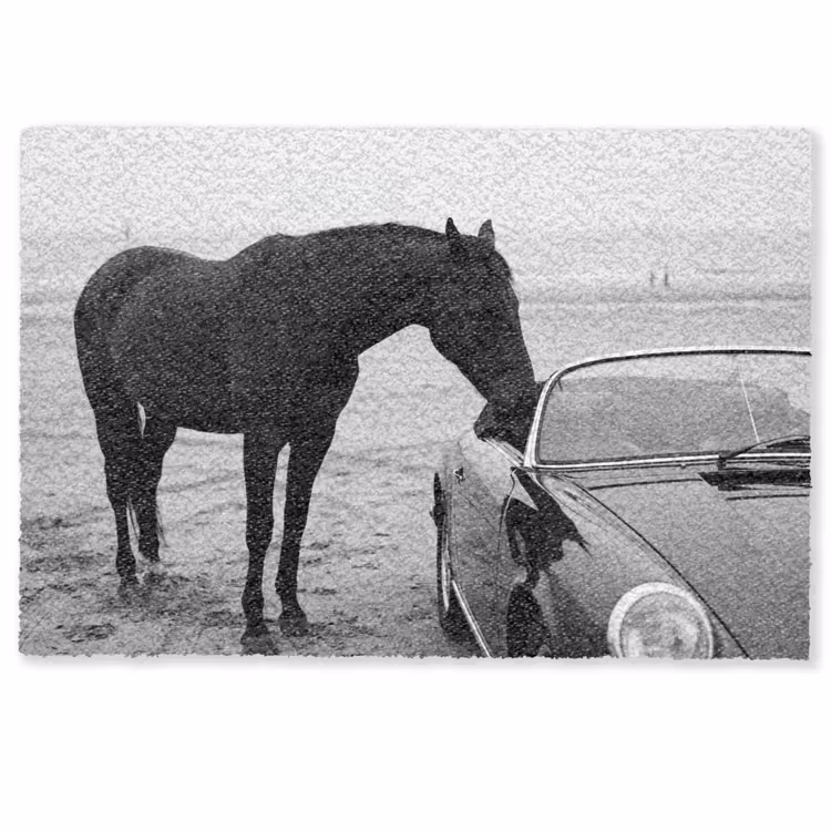 Fußmatte - Pferd - Auto - Schwarz - Weiß — 1