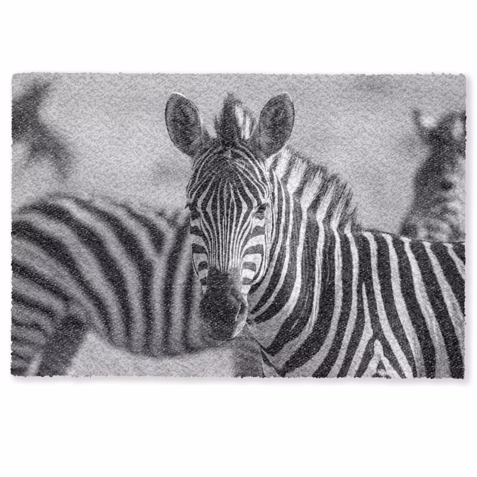 Fußmatte - Zebras - Schwarz - Weiß — 1