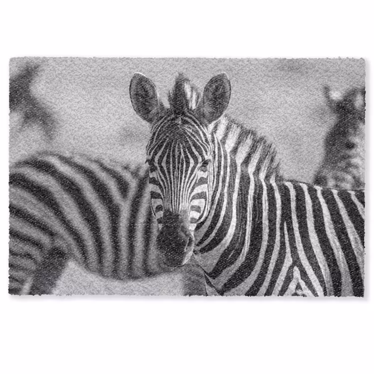 Fußmatte - Zebras - Schwarz - Weiß — 1