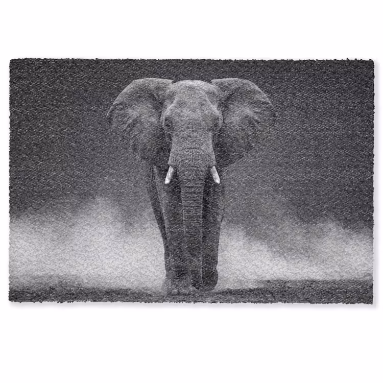 Fußmatte - Elefant - Schwarz - Weiß - Rauch — 1
