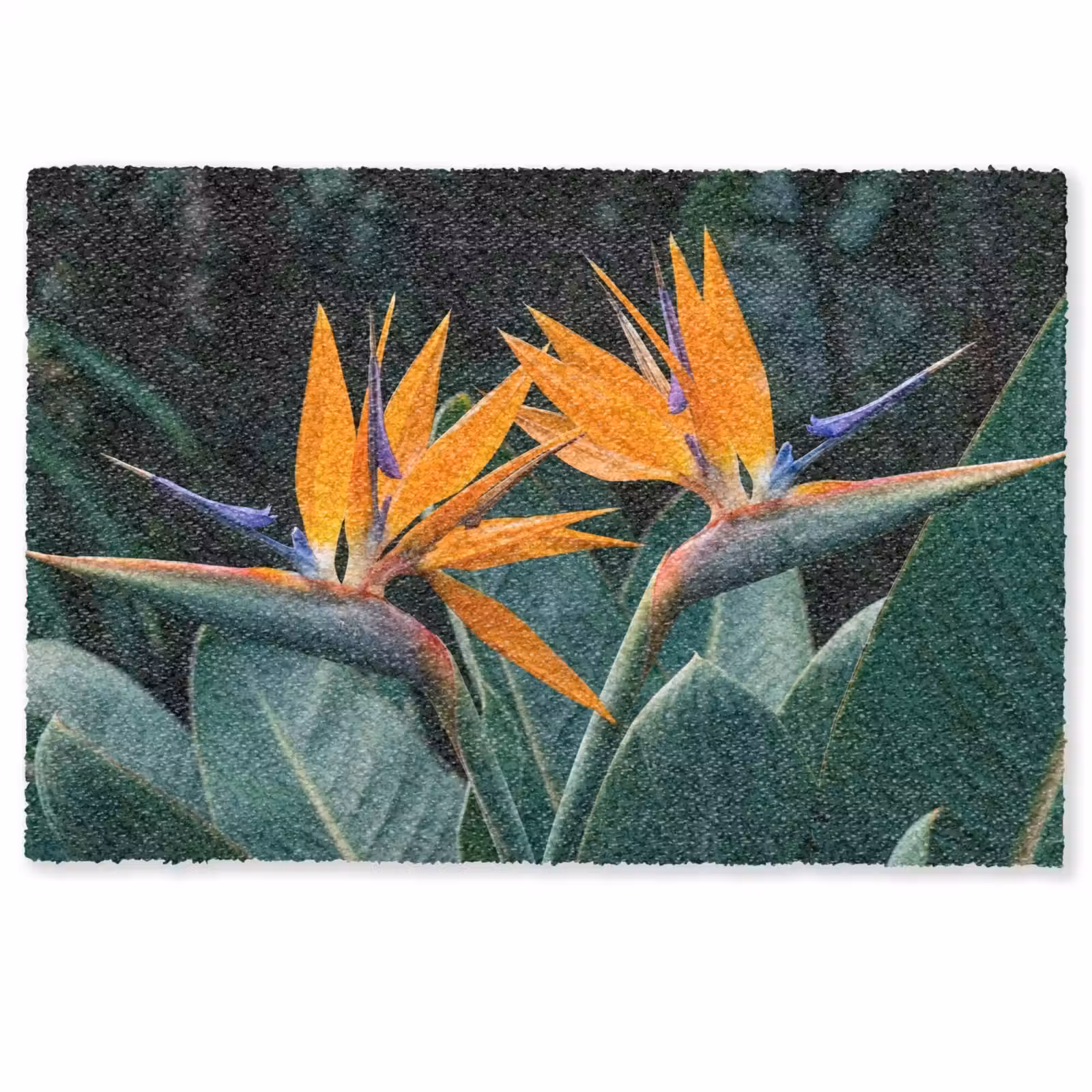 Fußmatte - Paradiesvogel - Blume - Exotisch — 1