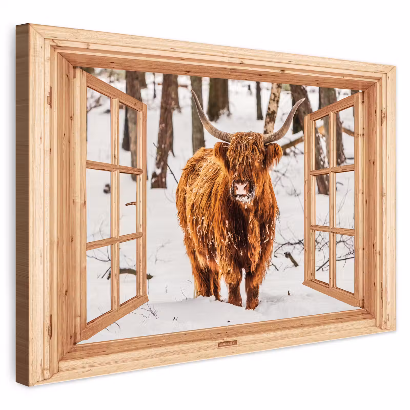 Outdoor Leinwand - Schottische Highlander - Winter - Landschaft - Natur - Tiere - Ansichten — 1