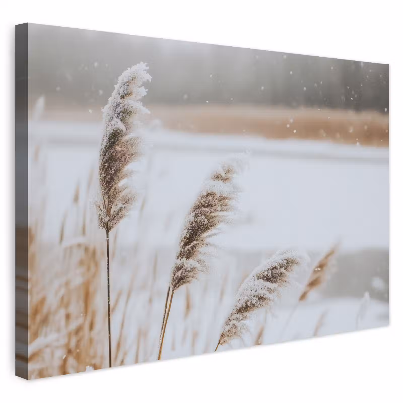 Outdoor Leinwand - Schilf - See - Winter - Natur - Schnee - Beige — 1