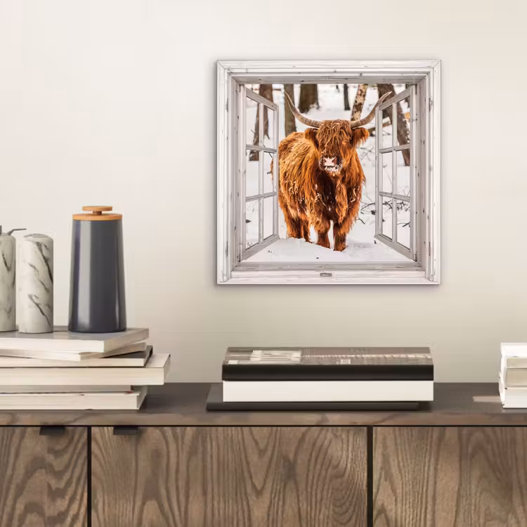 Alu-Dibond-Bild - Schottische Highlander - Schnee - Winter - Natur - Tier - Aussicht - Ländlich — 2