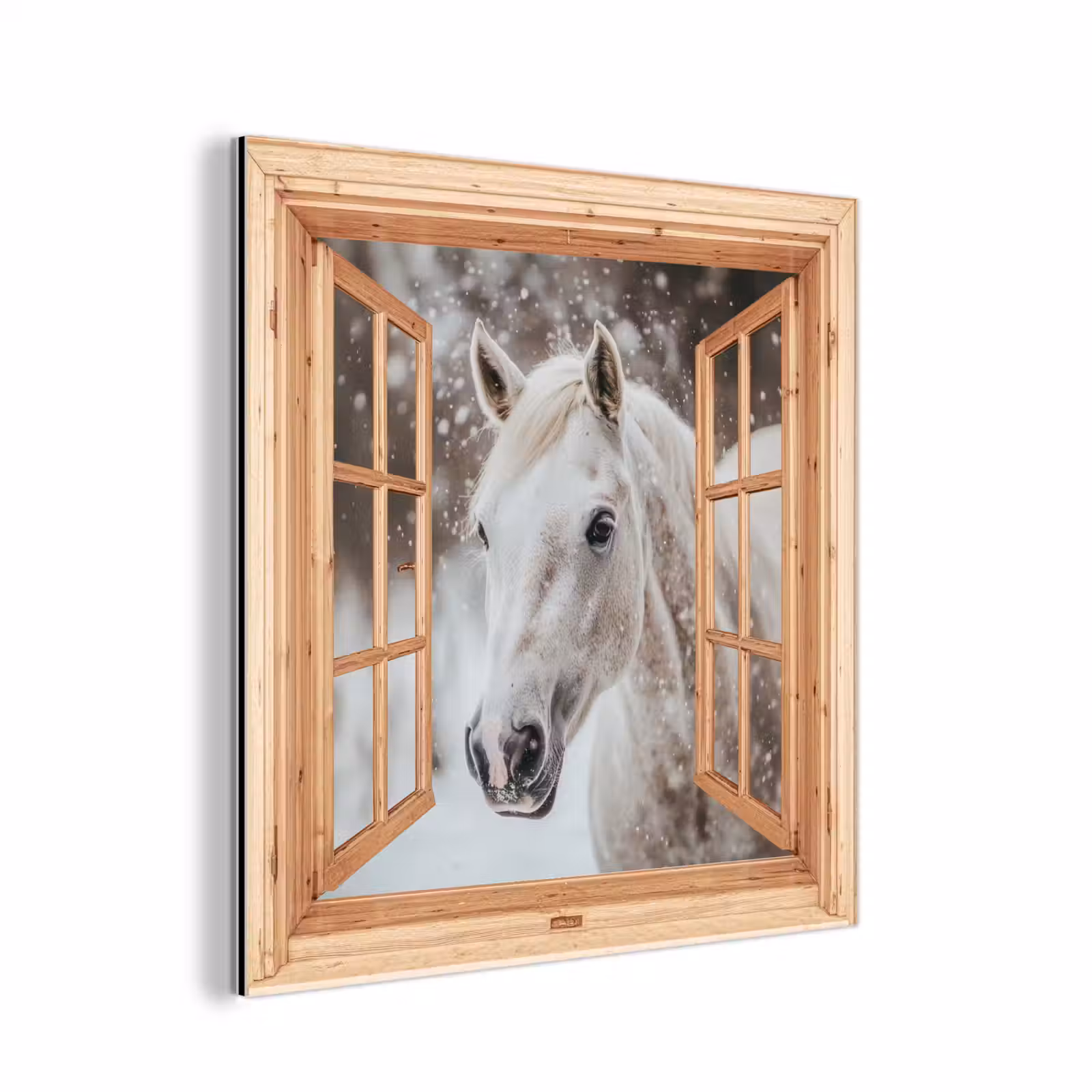 Alu-Dibond-Bild - Durchsichtig - Pferd - Weiß - Winter - Tiere — 1