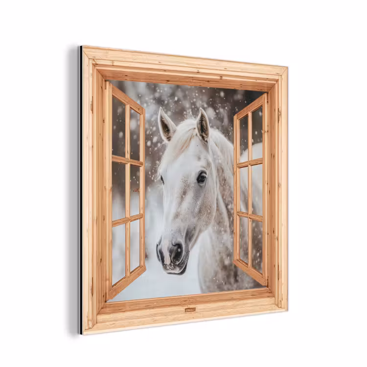 Alu-Dibond-Bild - Durchsichtig - Pferd - Weiß - Winter - Tiere — 1