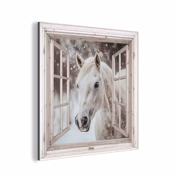 Alu-Dibond-Bild - Pferd - Weiß - Winter - Schnee - Durchsichtig - Tiere — 1