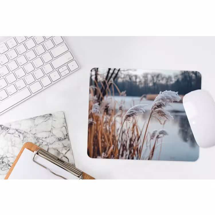Mauspad - Schilf - Gras - Natur - Winter - See — 2