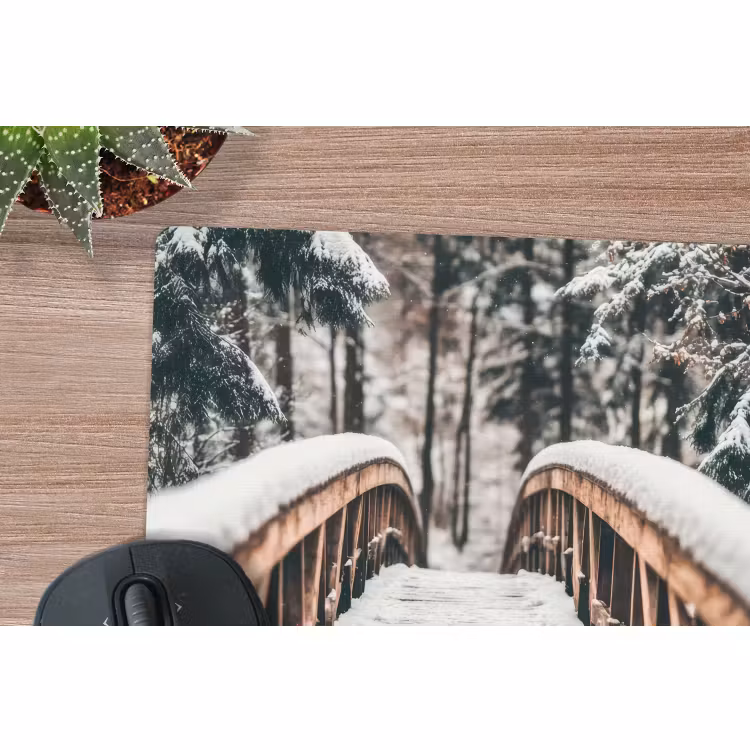 Mauspad - Brücke - Winterlandschaft - Wald - Natur - Schnee — 4