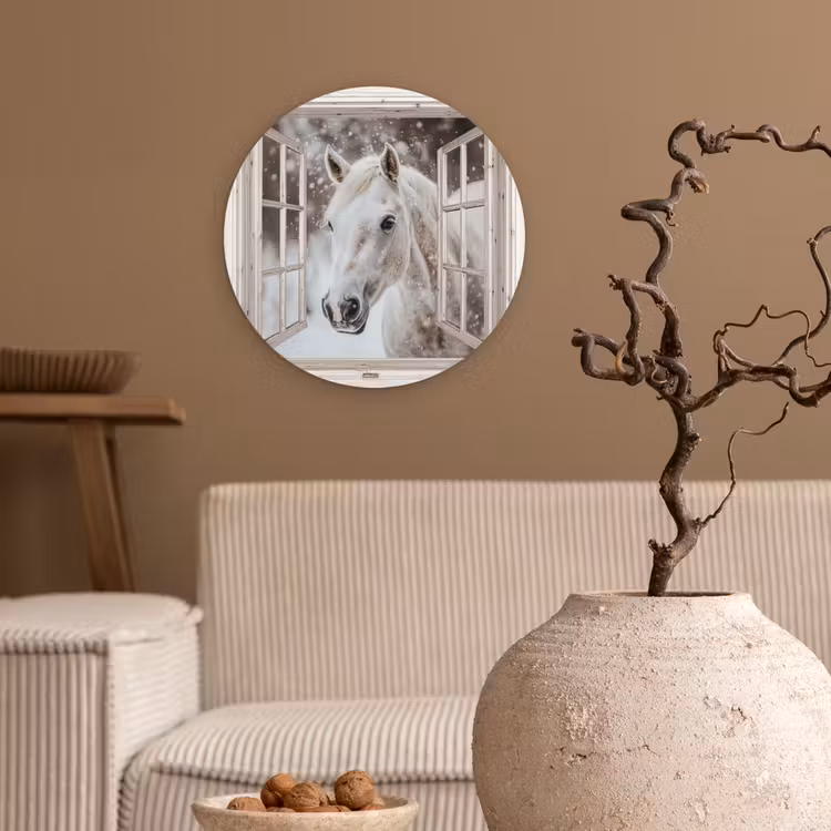 Forexbild Rund - Pferd - Weiß - Winter - Schnee - Durchsichtig - Tiere — 2