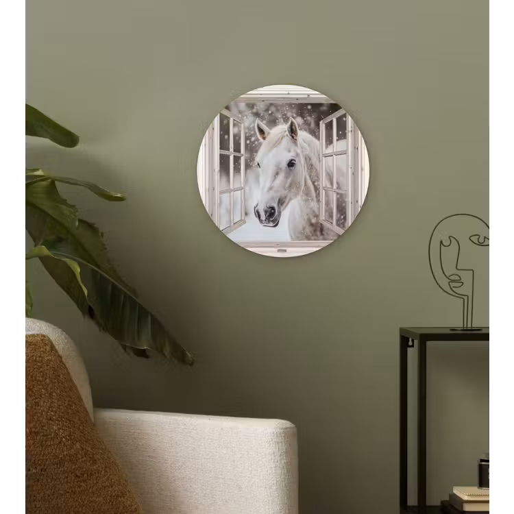 Forexbild Rund - Pferd - Weiß - Winter - Schnee - Durchsichtig - Tiere — 3