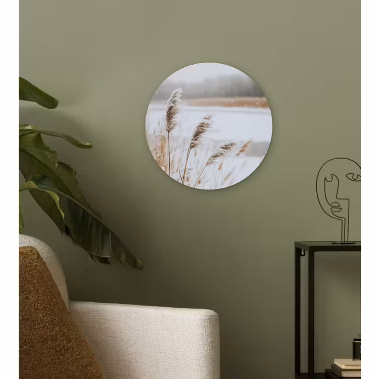 Forexbild Rund - Schilf - See - Winter - Natur - Schnee - Beige — 3